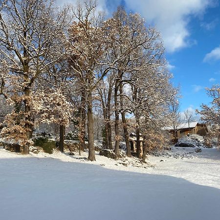 Cal Carol Apartment Vallcebre Екстериор снимка