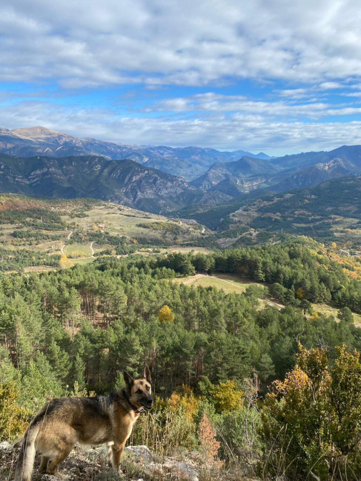 Cal Carol Apartment Vallcebre Екстериор снимка