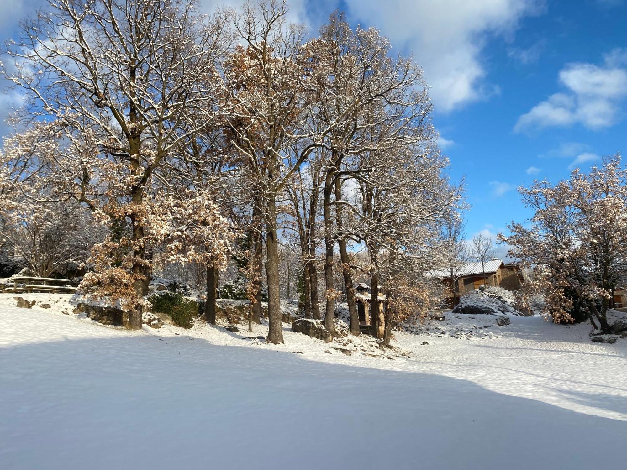 Cal Carol Apartment Vallcebre Екстериор снимка